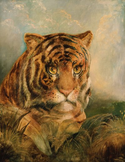Unknown Image by William Huggins